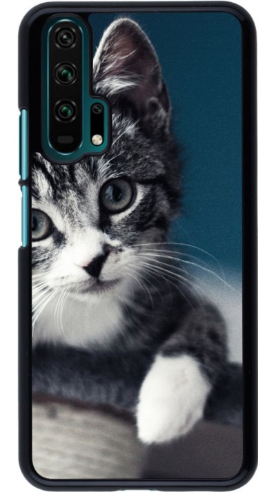 Hülle Honor 20 Pro - Meow 23