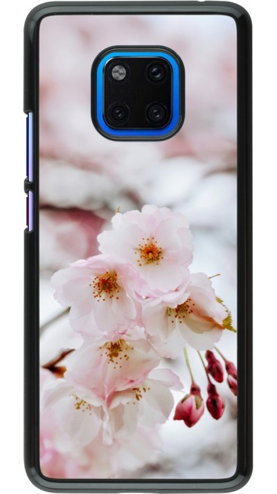 Huawei Mate 20 Pro Case Hülle - Cherry tree 2026