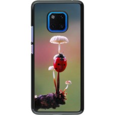 Huawei Mate 20 Pro Case Hülle - Ladybird on a mushroom 2026