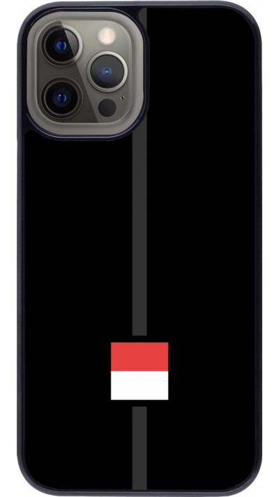 iPhone 12 Pro Max Case Hülle - Kanton SO schwarz