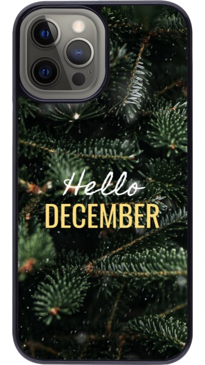iPhone 12 Pro Max Case Hülle - Winter 25 Winter hello december