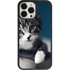 Coque iPhone 13 Pro Max - Silicone rigide noir Meow 23