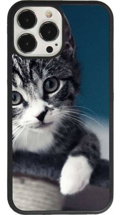 Coque iPhone 13 Pro Max - Silicone rigide noir Meow 23