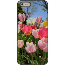 iPhone 5/5s / SE (2016) Case Hülle - Tulips Spring 2026
