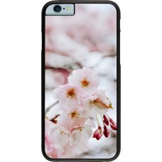 iPhone 6/6s Case Hülle - Cherry tree Spring 2026