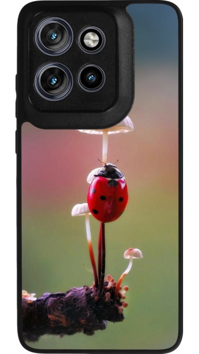 Coque Motorola Moto S50 - Silicone rigide noir Ladybird on a mushroom Spring 2026