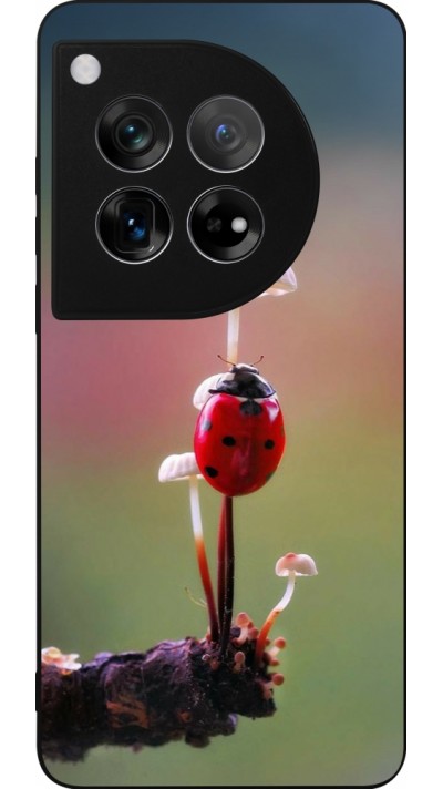 OnePlus 12 Case Hülle - Silikon schwarz Ladybird on a mushroom Spring 2026