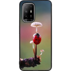 OPPO F19 Pro+ Case Hülle - Silikon schwarz Ladybird on a mushroom Spring 2026