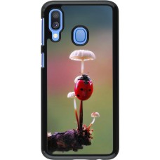 Samsung Galaxy A40 Case Hülle - Ladybird on a mushroom Spring 2026