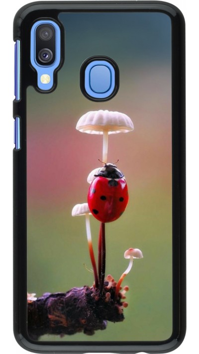 Samsung Galaxy A40 Case Hülle - Ladybird on a mushroom 2026