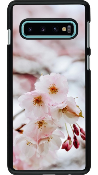 Samsung Galaxy S10 Case Hülle - Cherry tree Spring 2026