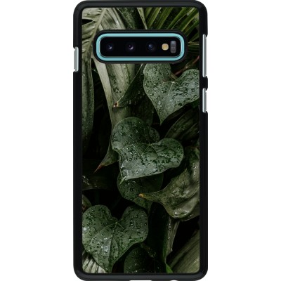 Samsung Galaxy S10 Case Hülle - Spring 23 fresh plants