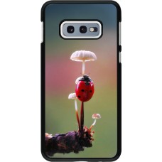 Samsung Galaxy S10e Case Hülle - Ladybird on a mushroom 2026
