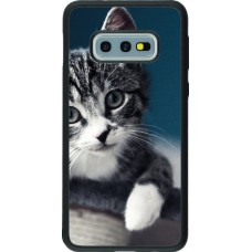 Hülle Samsung Galaxy S10e - Silikon schwarz Meow 23