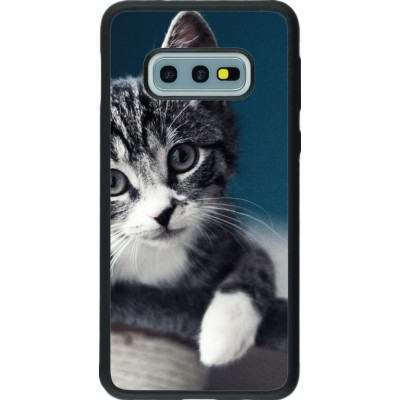 Hülle Samsung Galaxy S10e - Silikon schwarz Meow 23