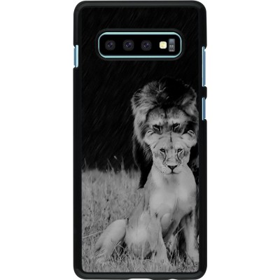 Coque Samsung Galaxy S10+ - Angry lions