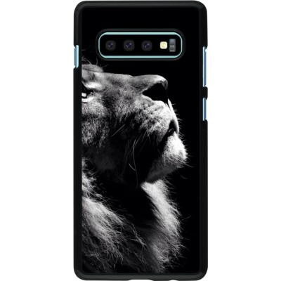 Hülle Samsung Galaxy S10+ - Lion looking up