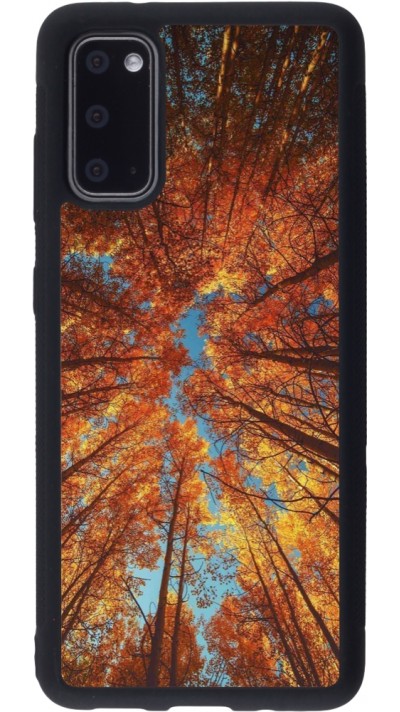 Samsung Galaxy S20 Case Hülle - Silikon schwarz Autumn 25 Trees