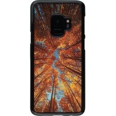 Samsung Galaxy S9 Case Hülle - Autumn 25 Trees