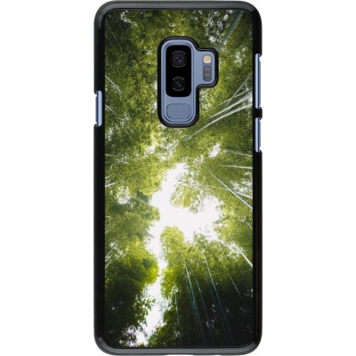 Samsung Galaxy S9+ Case Hülle - Spring 23 forest blue sky