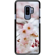 Samsung Galaxy S9+ Case Hülle - Cherry tree 2026