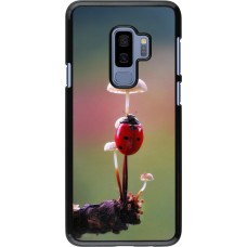 Samsung Galaxy S9+ Case Hülle - Ladybird on a mushroom 2026