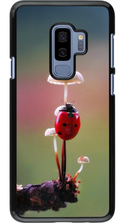 Samsung Galaxy S9+ Case Hülle - Ladybird on a mushroom 2026