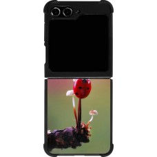 Samsung Galaxy Z Flip5 Case Hülle - Silikon schwarz Ladybird on a mushroom 2026