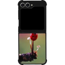 Samsung Galaxy Z Flip6 Case Hülle - Silikon schwarz Ladybird on a mushroom Spring 2026
