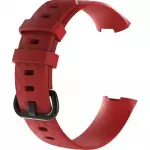 Rot
