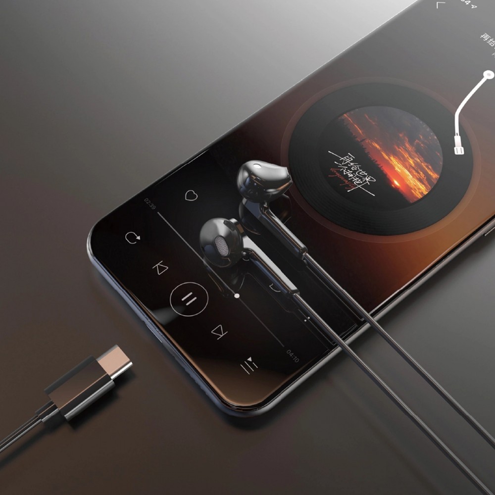 Dudao X3C In-Ear USB-C Kopfhörer 1.2m Kabelgebunden Hochwertiger Klang - Schwarz
