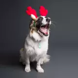 AirTag Schlüsselanhänger - Silikon dunkelblau