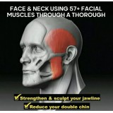 Kiefermuskel Trainer Jawline Gummiball für straffere Gesichtsmuskel - Schwarz