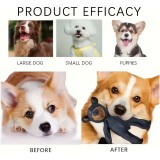 Robustes Hundespielzeug unzerstörbar Bären aus strapazierfähigem Stoff - Blau