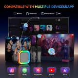 Kabellose Bluetooth Mini Karaoke Lautsprecher mit Mikrofon und LED-Lichtern (inkl. 2 Mikrofone) - Schwarz