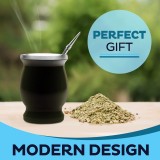 Yerba Mate Becher und Bombilla Set Edelstahl Vakuum (250 ml) mit Bürste - Schwarz