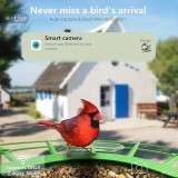 Nichoir à oiseaux intelligent 1296p WiFi avec caméra solaire détection de mouvement et contrôle via application - Vert