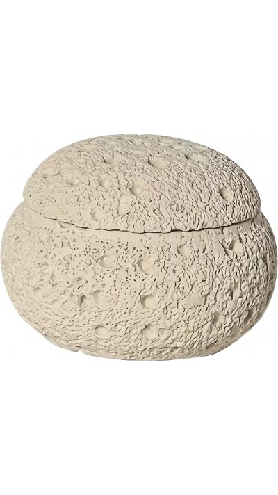 Minimalistisches Stern-Design R&auml;ucherkegelhalter aus Harz - Zen Deko f&uuml;r Zuhause - Beige