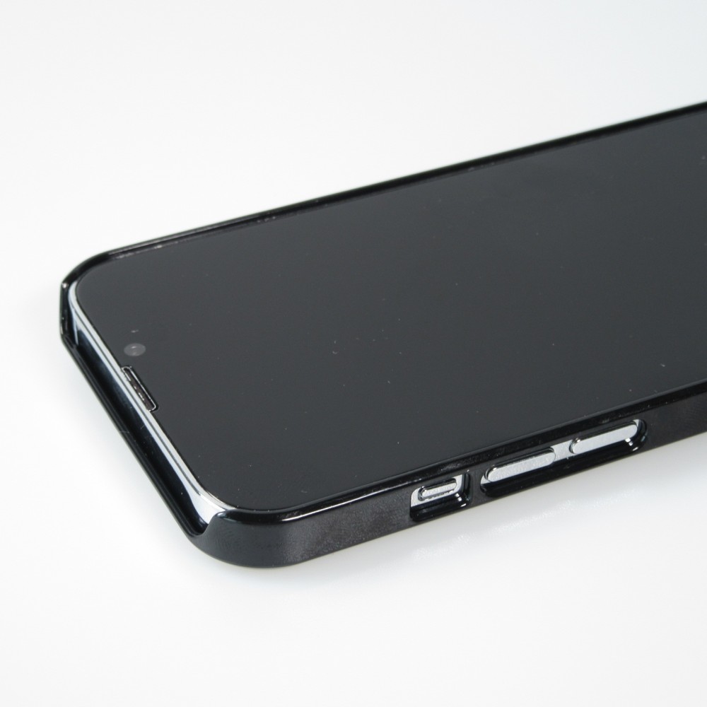 iPhone 14 Pro Case Hülle - Kanton SG schwarz