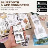 X6 Mini tragbarer Bluetooth Thermodrucker ohne Tinte mit Papier und Stickern - Rosa