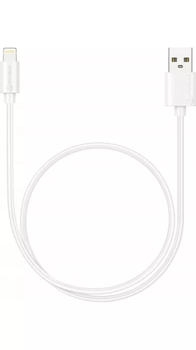 Câble Lightning iPhone USB (50 cm) - PhoneLook - Blanc